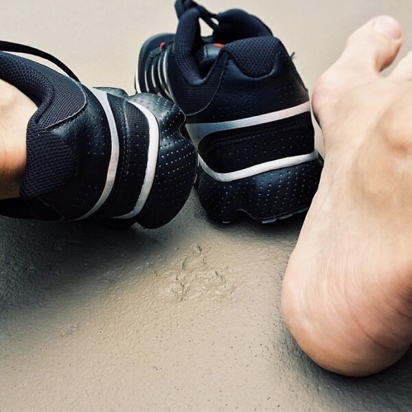 fitness gear