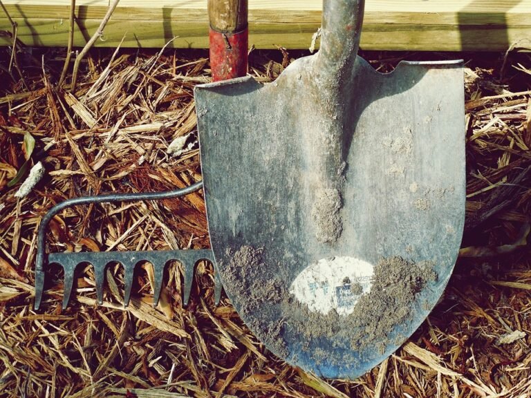 beauty tool